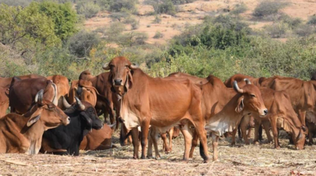 库布齐沙漠什么时候形成的,库布齐沙漠出现冰河