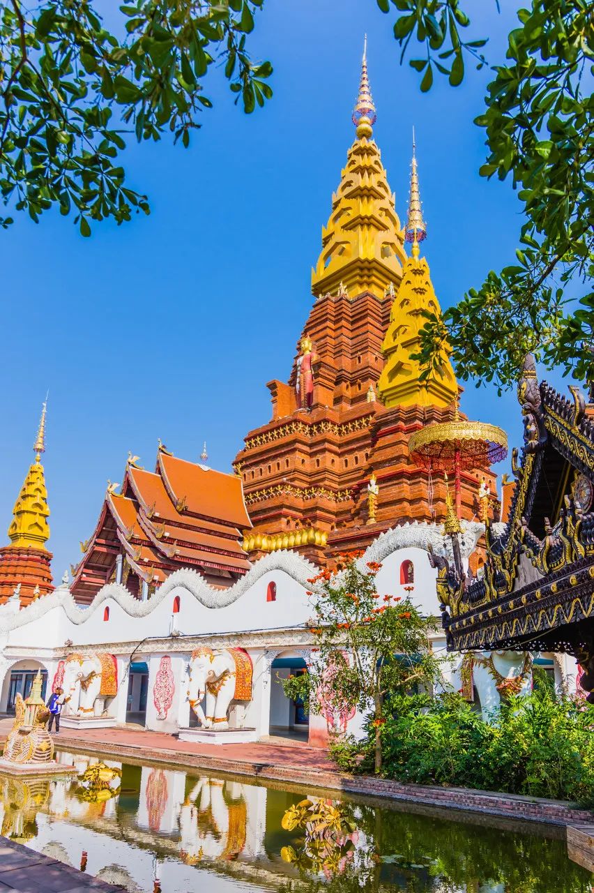 西双版纳体验雨林,吃遍热带水果西双版纳