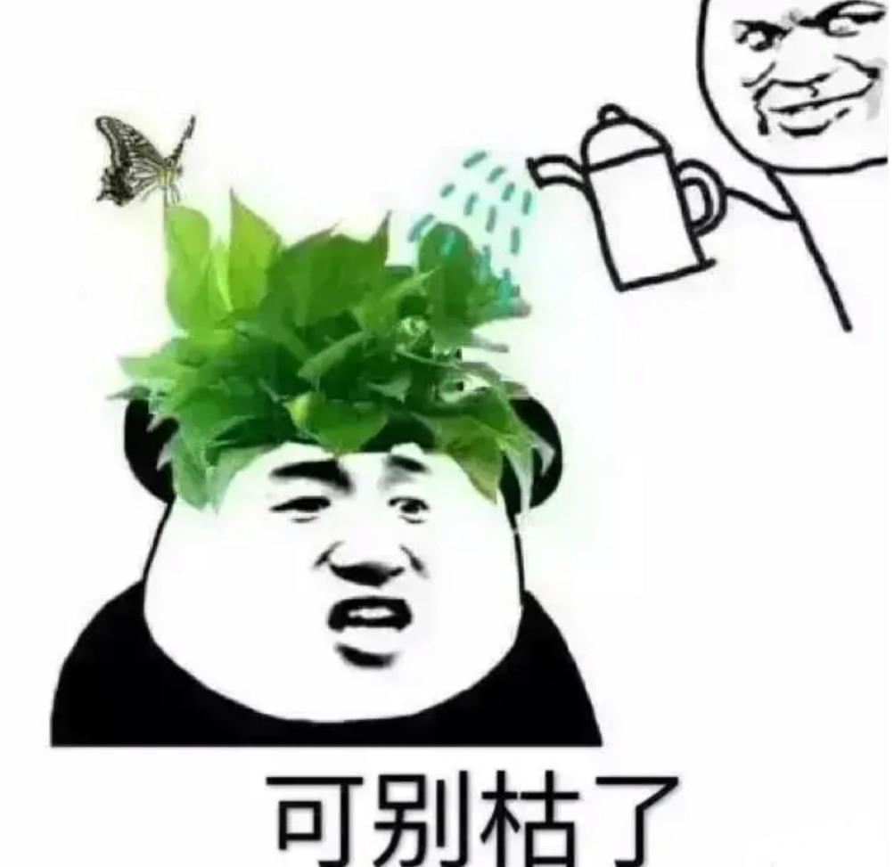 智能煮蛋器是不是智商税,煮蛋器有必要买吗