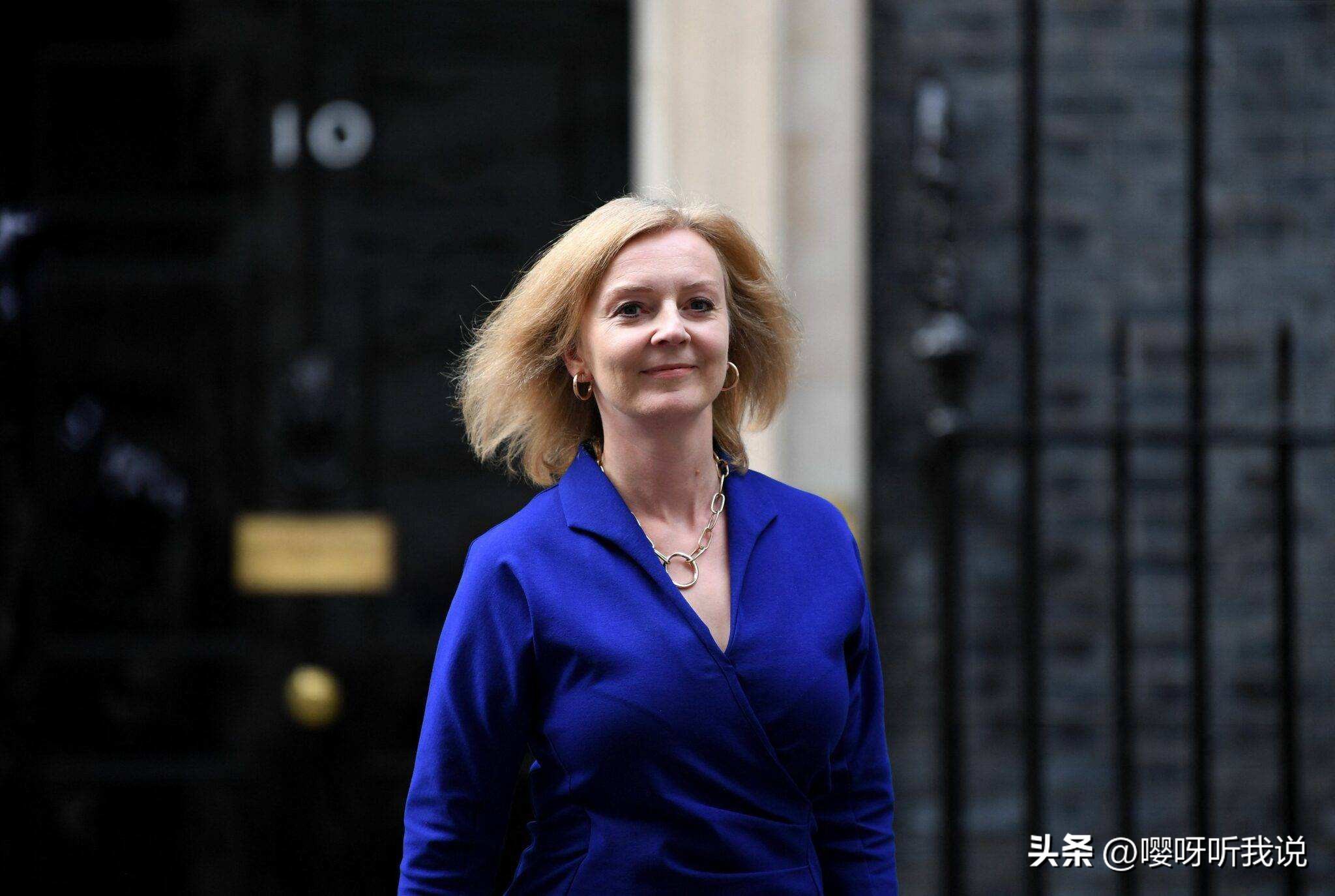 金鱼记忆的真相,金鱼记忆过程视频