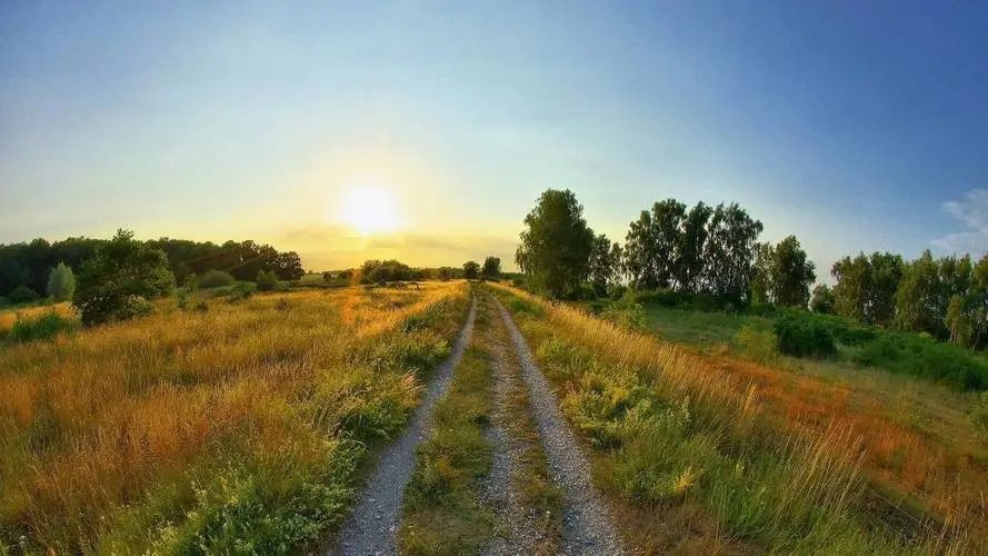 50句经典语录及感悟,100句经典名著最精华句子值得欣赏