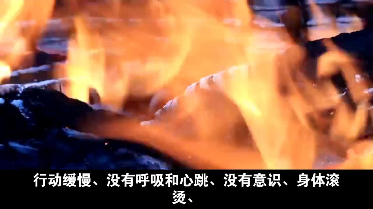 关于丧尸爆发如何预防的视频,科普教你遇到丧尸怎么办