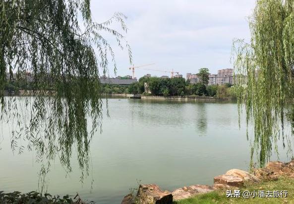 长江游轮排行及收费,长江重庆至上海豪华游轮价格