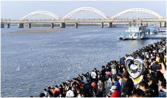 五一奇葩游客,五一旅游人次分析