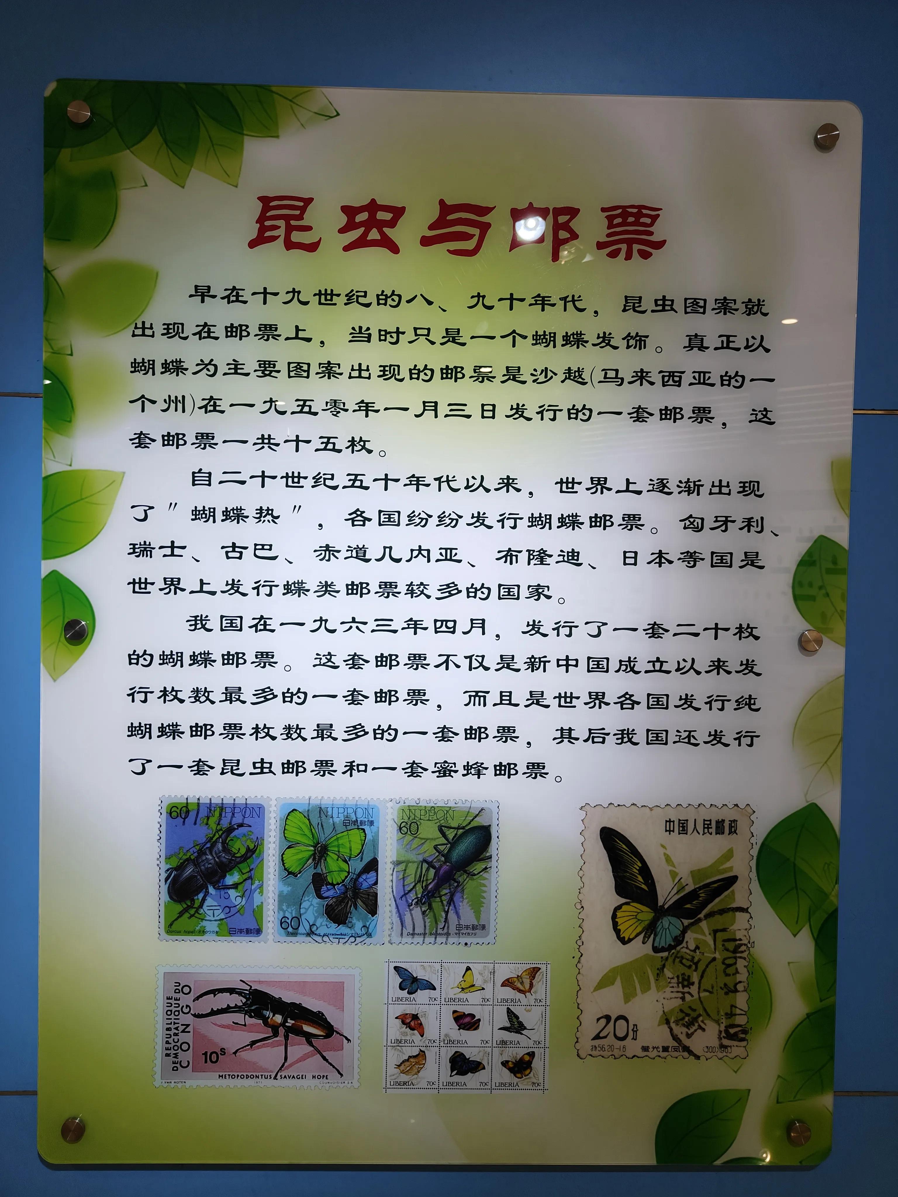 神兽暑假去哪玩,神兽暑假生活