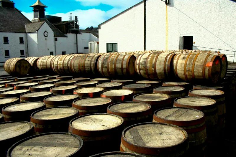 猪头桶有什么用,猪头桶介绍