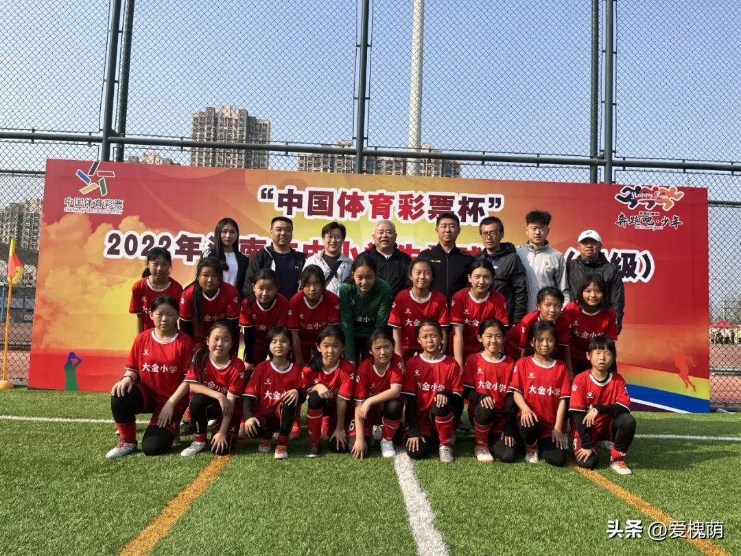 槐荫大金小学,槐荫区大金小学片区