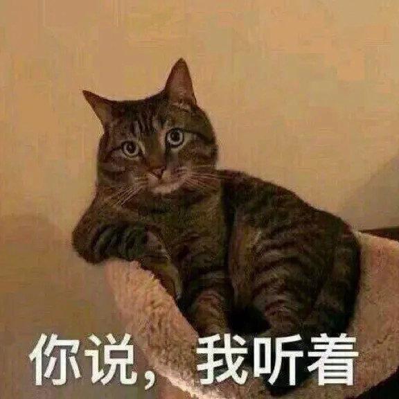 有美人尖下巴的明星,下巴不尖但很平的明星