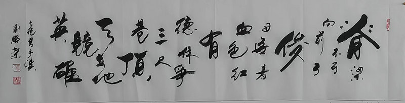 刘照荣【每日练笔】及祝永平、靳兴刚快评（三十八）