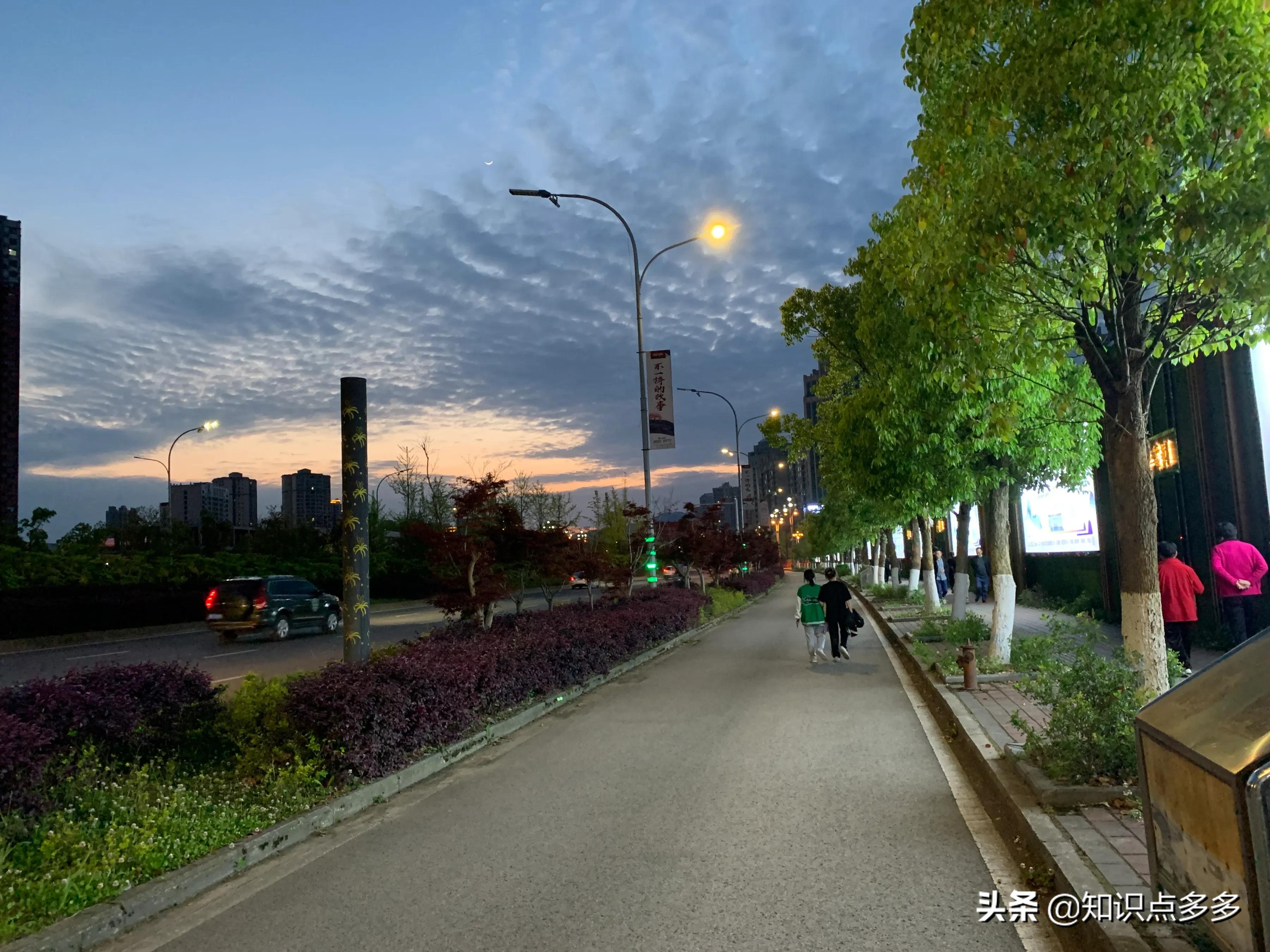 黑羊效应到底该如何解决,黑羊效应的意思