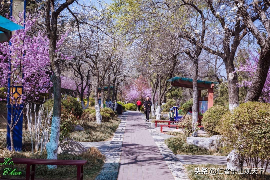 丧家的资本家乏走狗原文,丧家的资本家乏走狗指的是谁