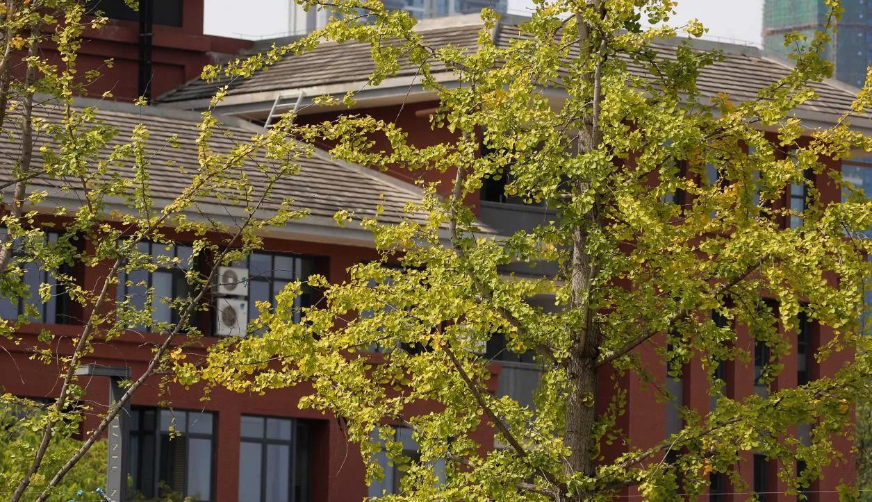 高考成绩校长致辞,各学校校长对高考的致辞