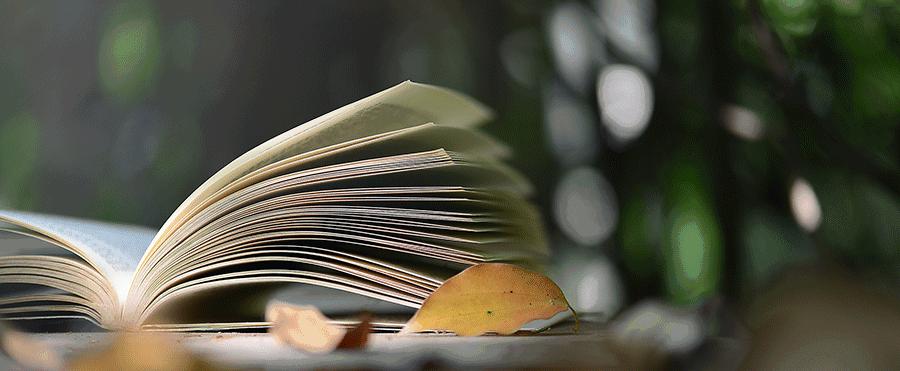 “四大美人”中的杨玉环到底有多美?