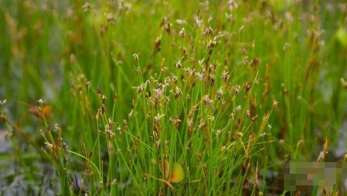 寒湿腰痛腿痛吃什么中成药,关节痛舒筋活血中成药有哪些