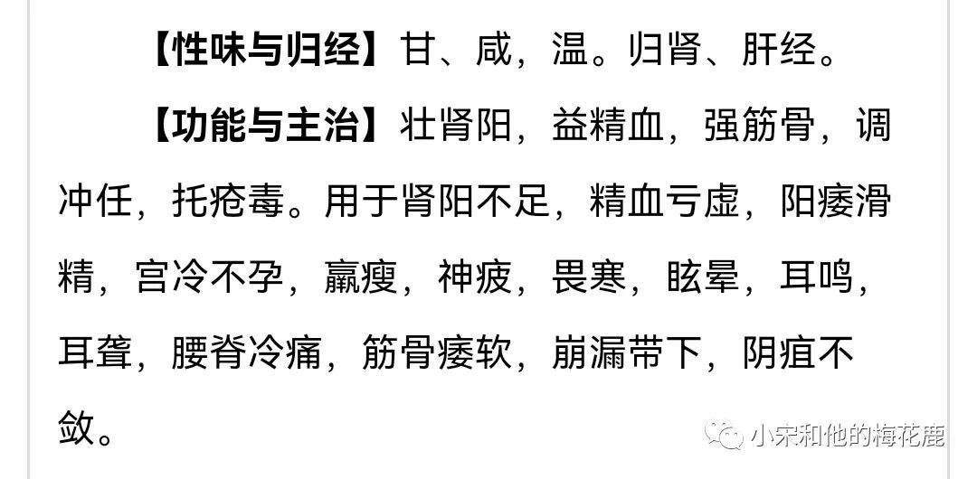 真假梅花鹿茸,假的鲜梅花鹿鹿茸