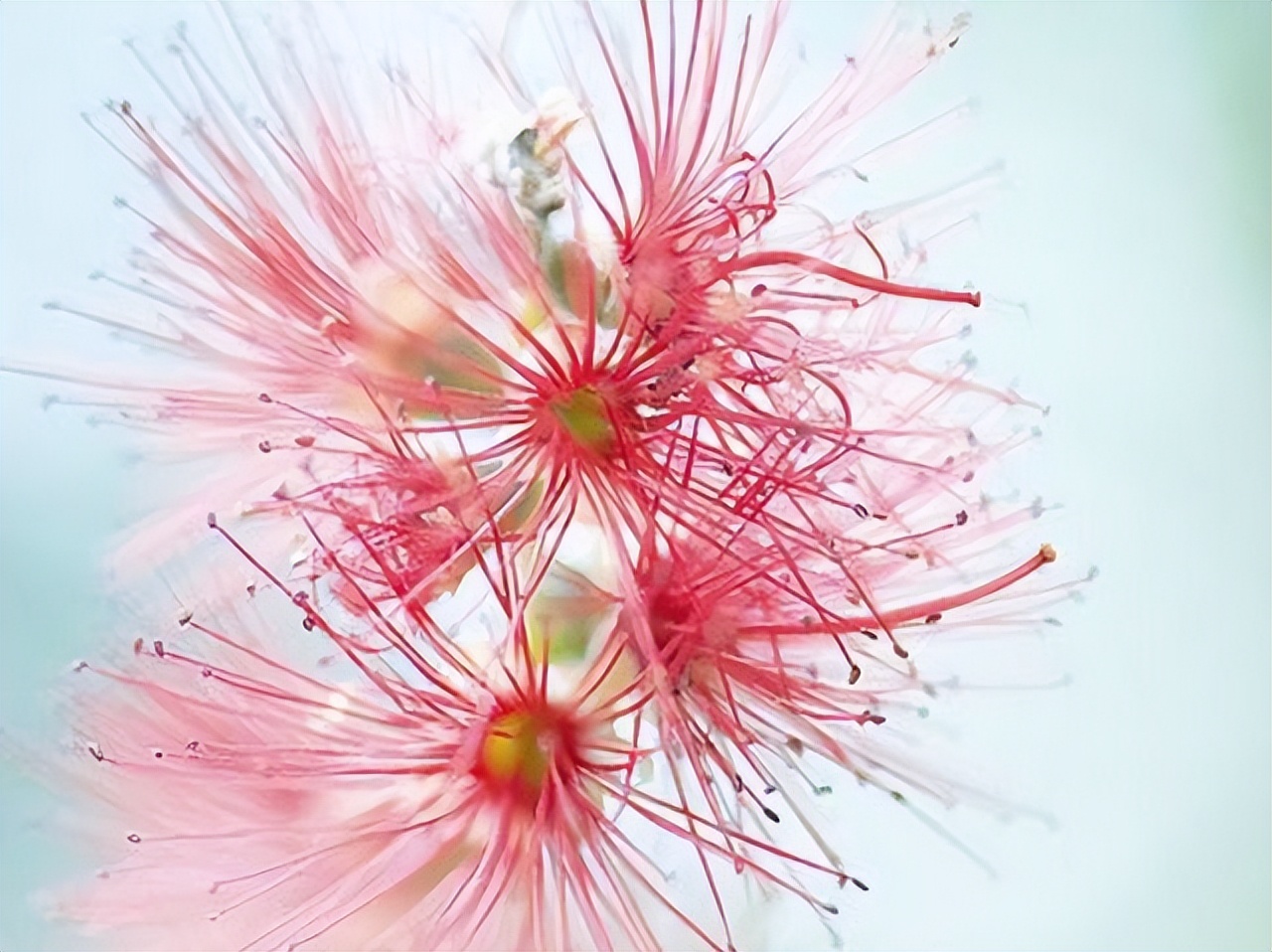 上升水瓶座给人的感觉,上升水瓶不为人知的潜能