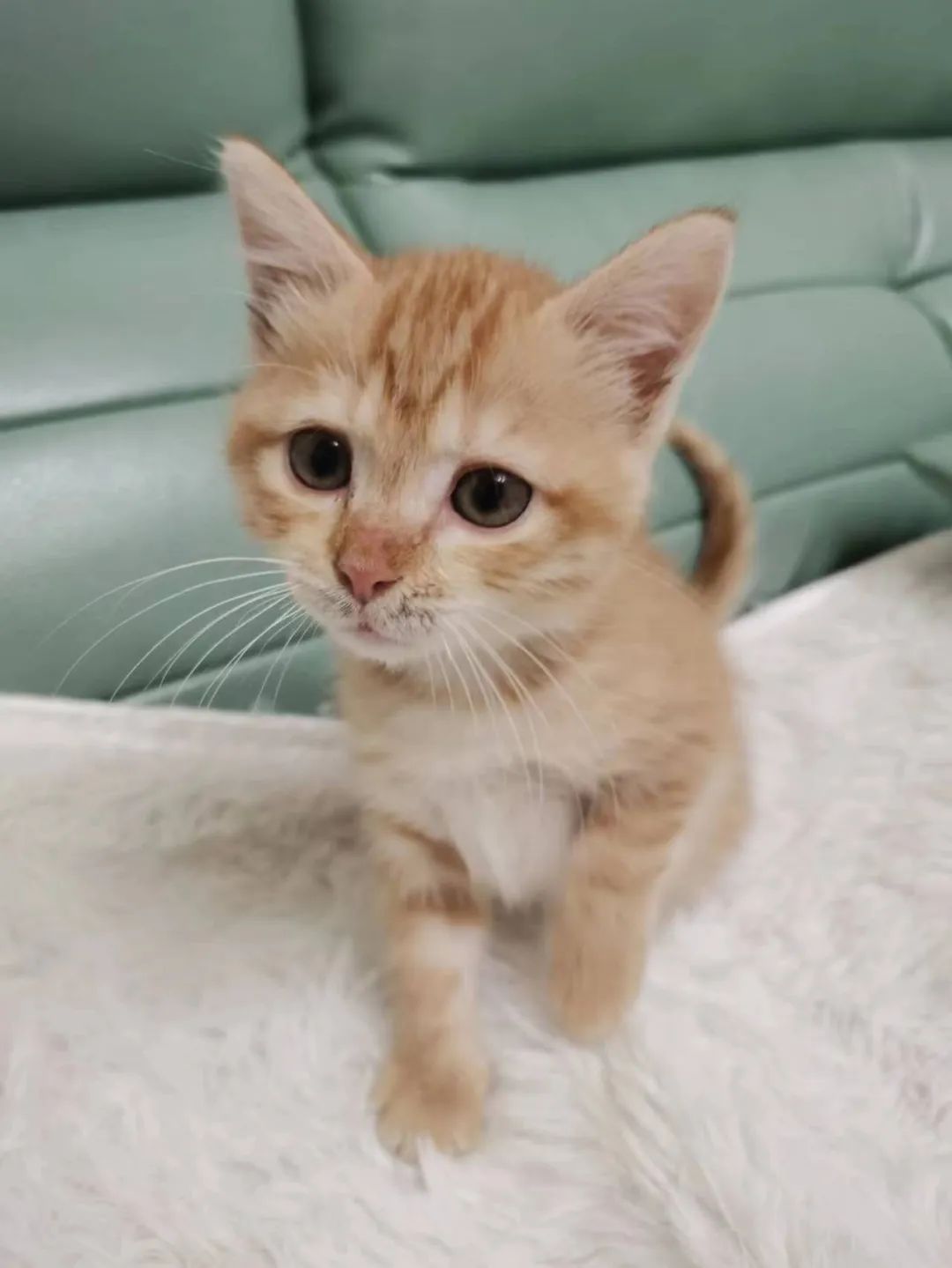 听完这条好消息,你可以提前过年了