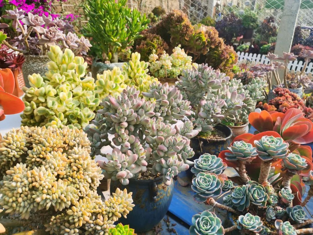 冷门又吃香前景好的高薪职业推荐,十大高薪职业目前十大挣钱的职业