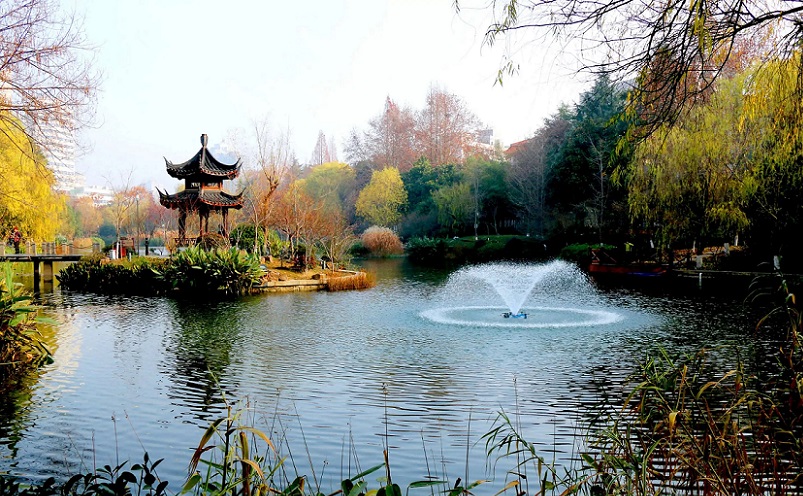 12月南京有哪些免费景点,南京市民免费旅游景点