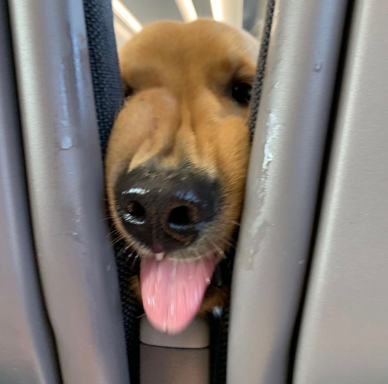 缇庡浗灏忓摜鐐硅瘎瑙嗛,缇庡浗灏忓摜鐐硅瘎