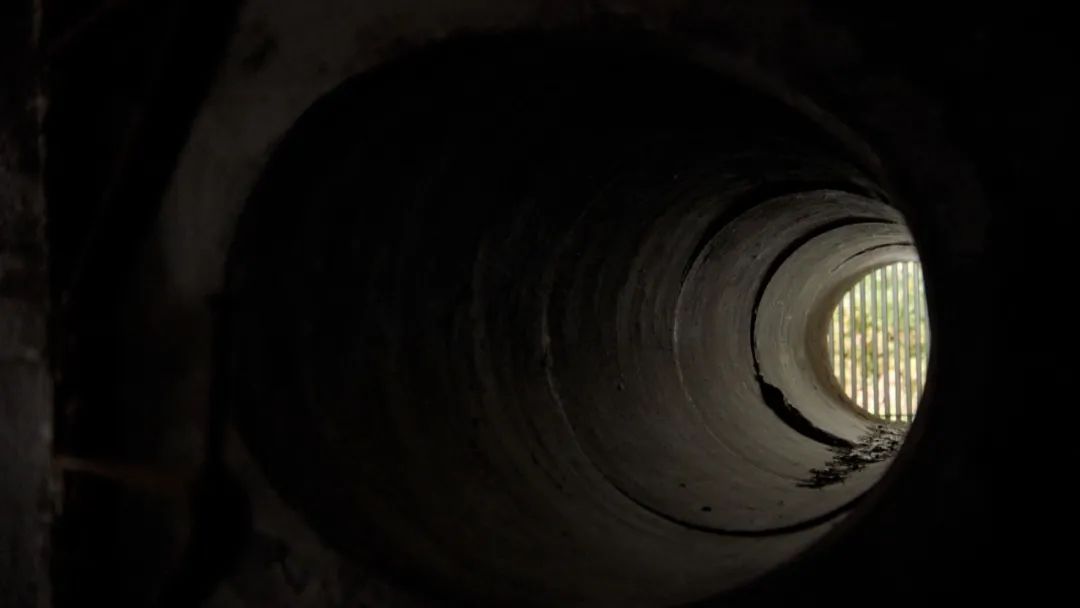 美国中情局“开*院妓**”、柏林街头粉红色管道，背后藏着怎样的故事