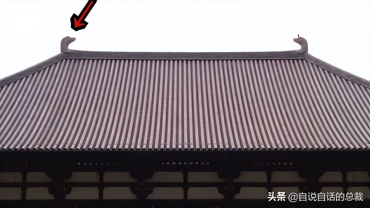 鉴真和尚个人资料,鉴真和尚哪里人