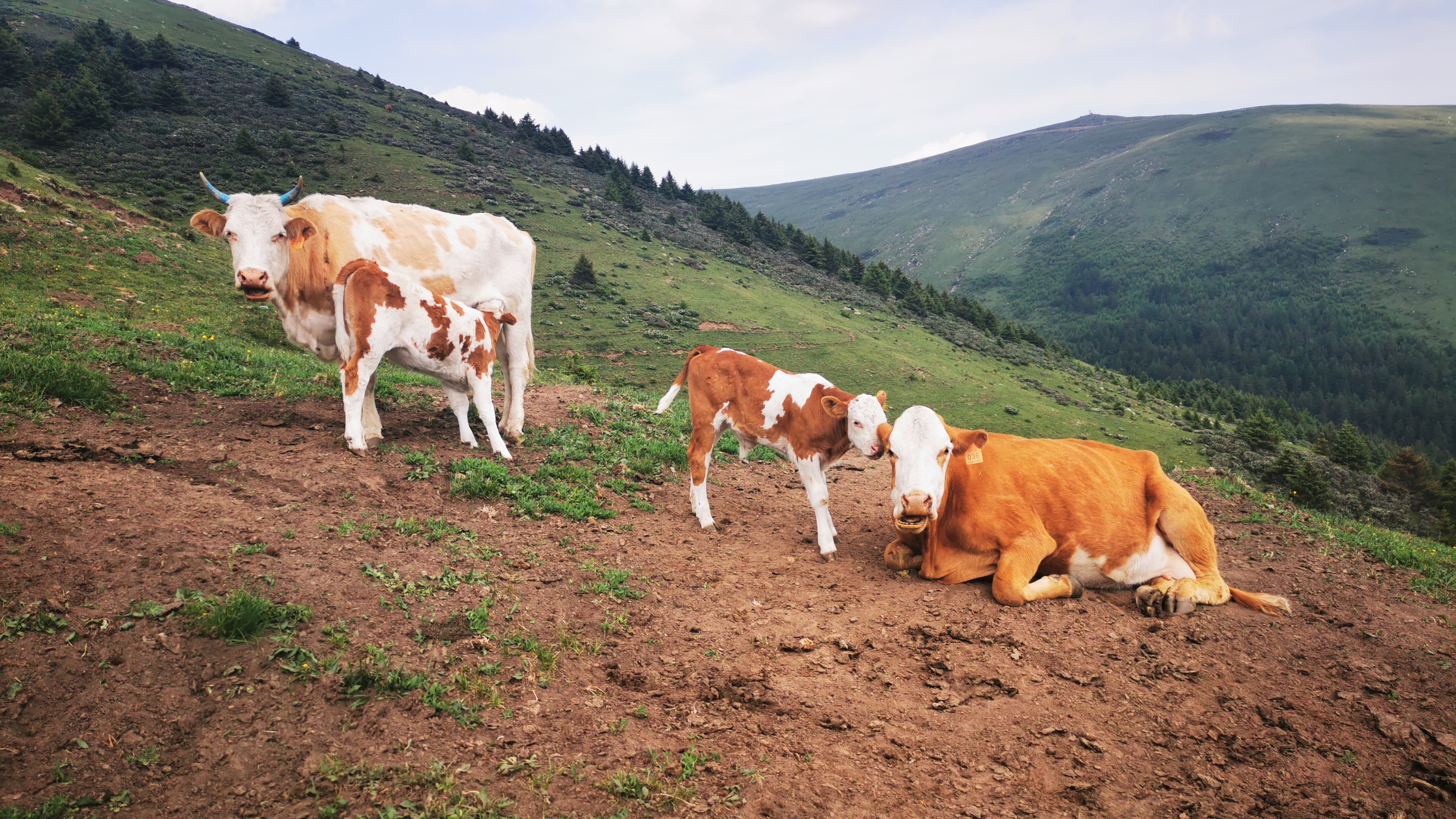 端午节五台山三日大五朝台第二天（西台-中台-插旗台-澡浴池）
