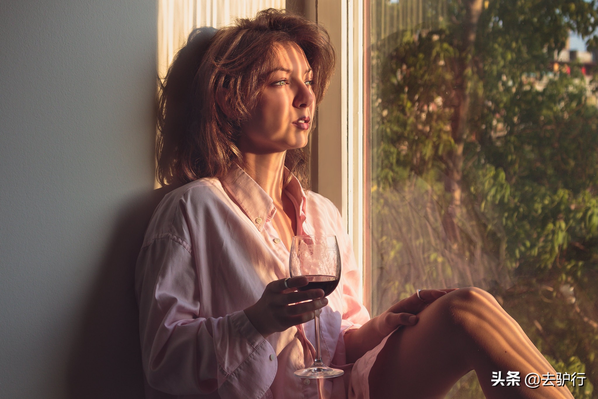 智利和法国的红酒有什么区别,智利的红酒有哪些值得买