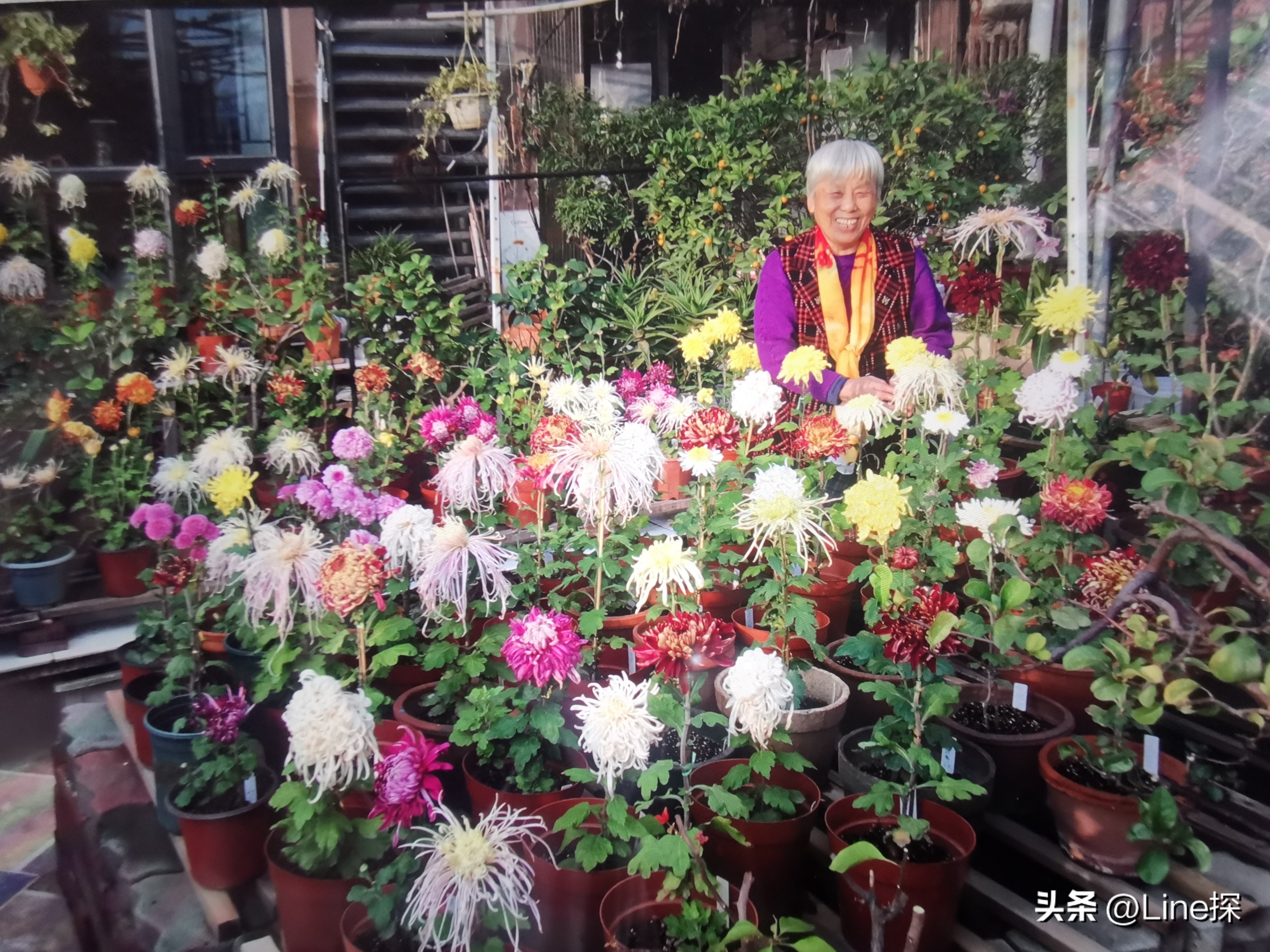 养花名人王海生：人生需要知足常乐