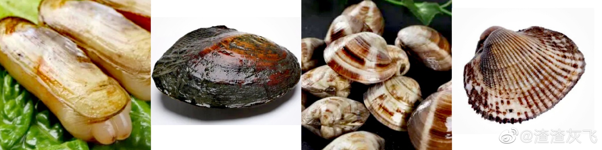 汉字“卉”应有两个源头，也谈“賁”为何音bì