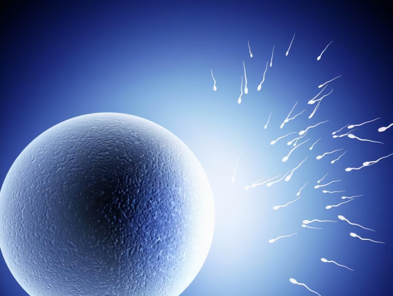 孕期准备宝宝用品清单,孕期注意事项和饮食禁忌清单