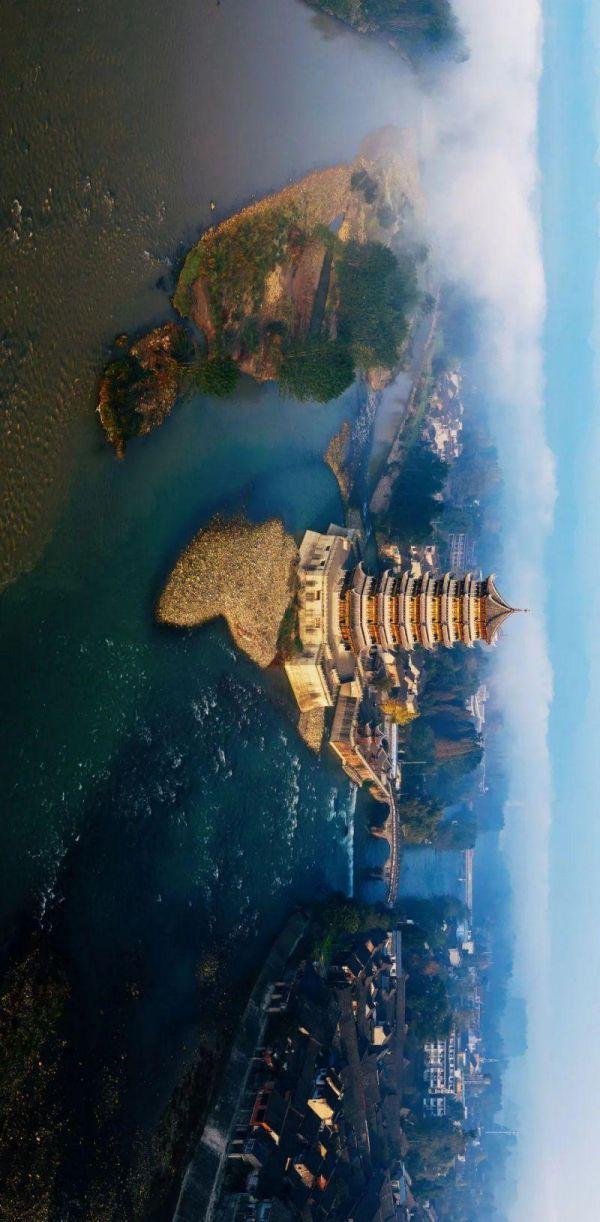 水井坊1号菌群,水井坊一号