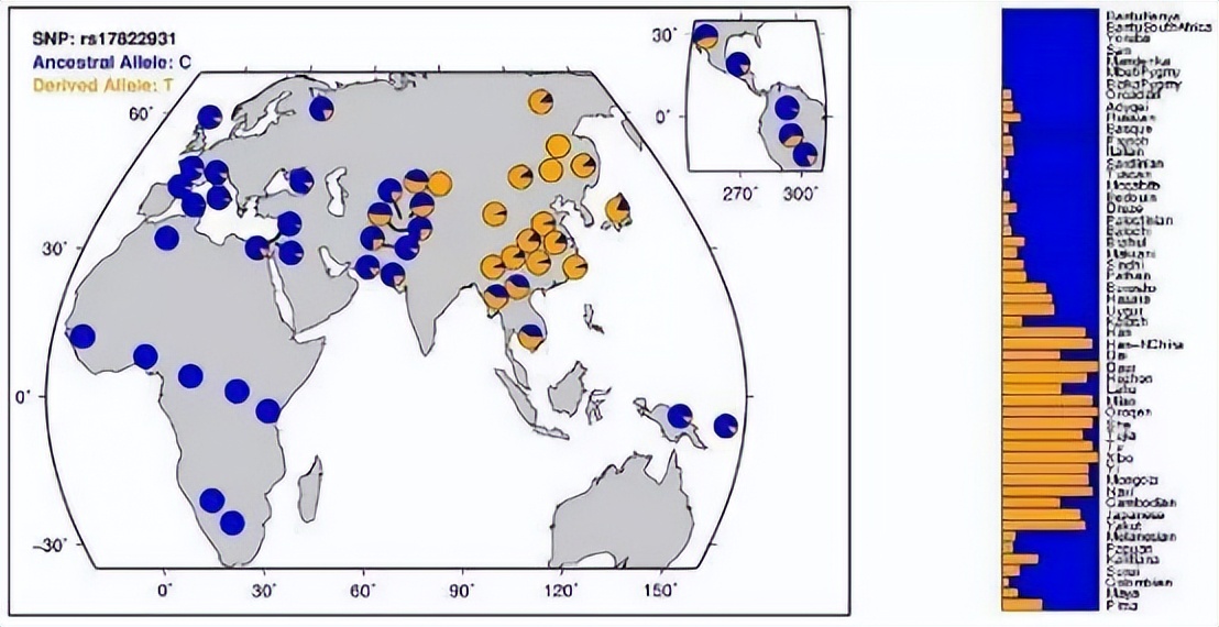 肉毒杆菌揭秘,腋下出汗多打肉毒杆菌有用吗