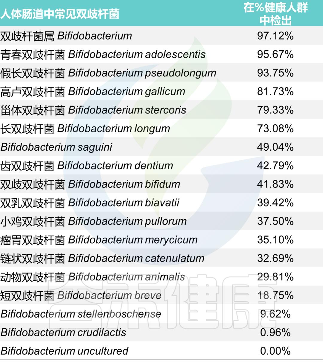 双歧杆菌属于肠道什么菌,双歧杆菌肠道功能会更好