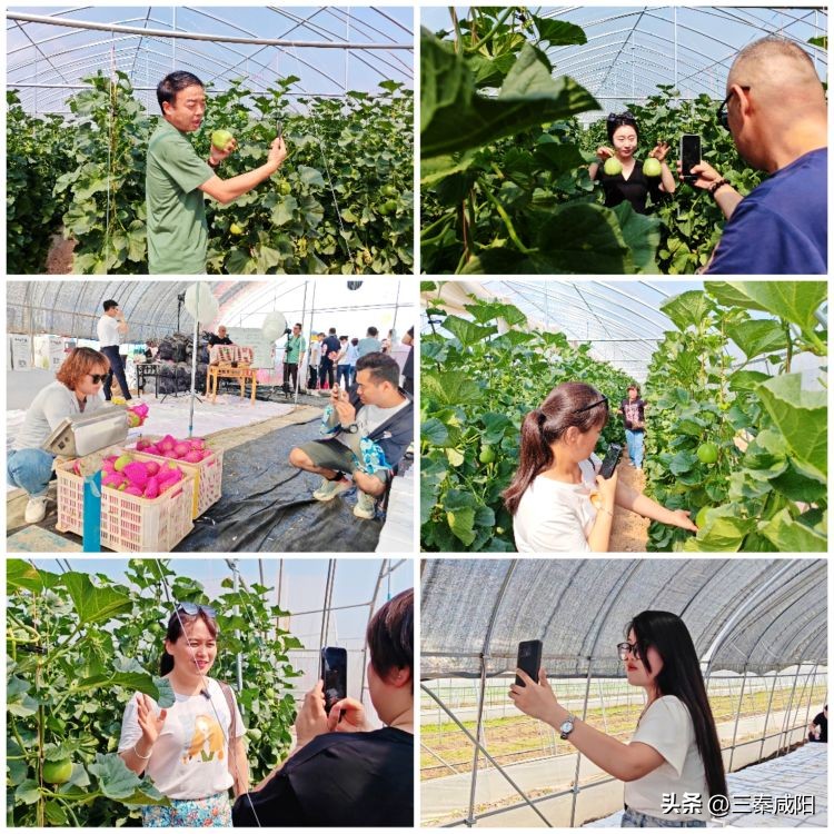 网络直播对乡村振兴的意义,网络直播助力乡村振兴