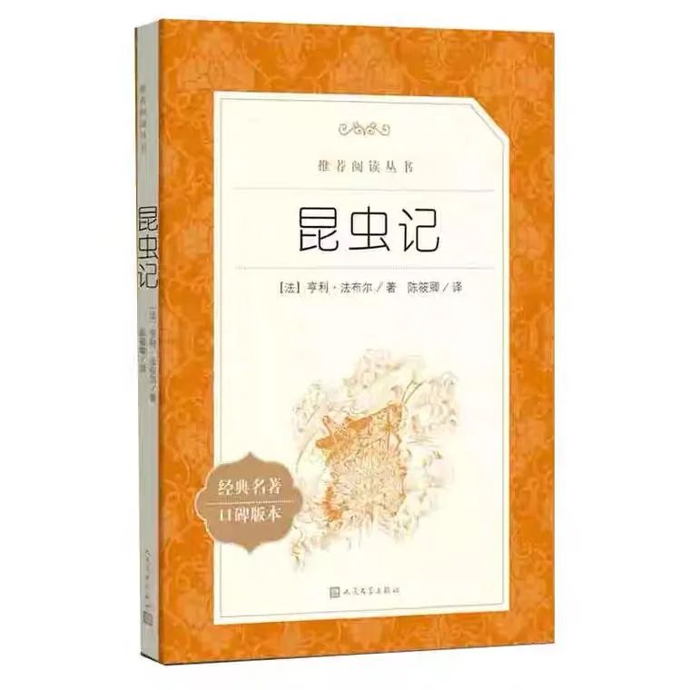 中考名著阅读人教版,初中名著经典阅读与新题型