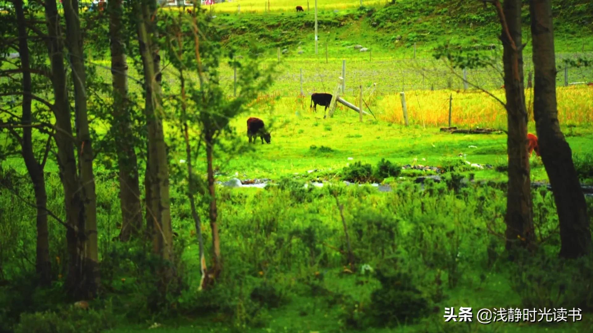古人谈碰到小人怎么办,遇到小人不要害怕鬼谷子