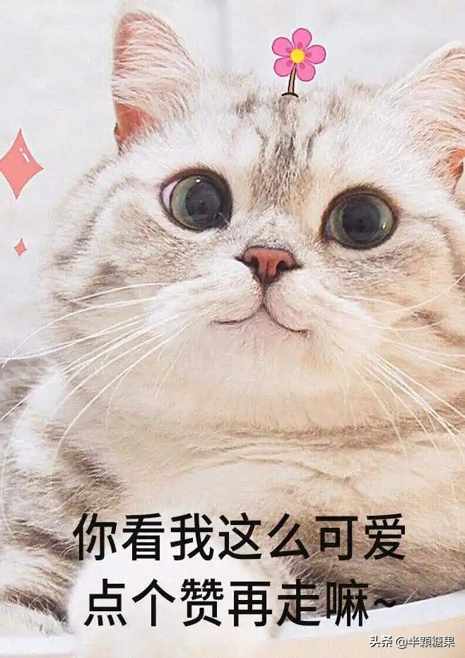 爆笑神回复原视频,爆笑神回复外卖