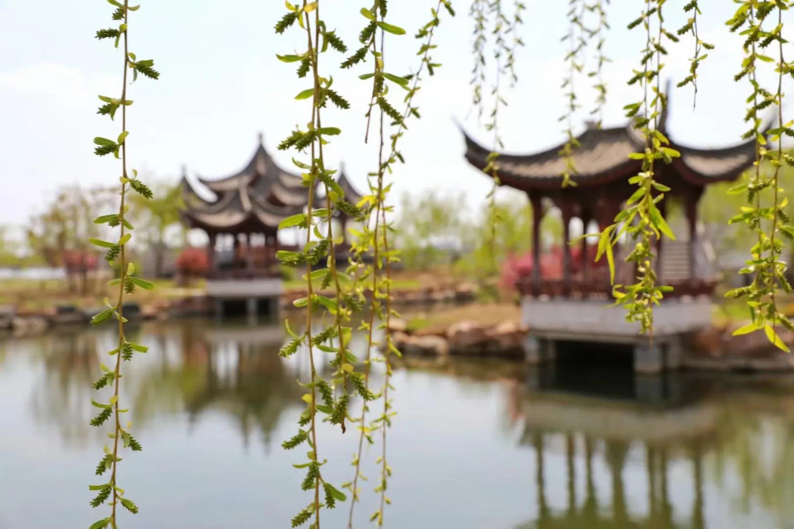 盘锦市向海大道,盘锦市向海大道起点