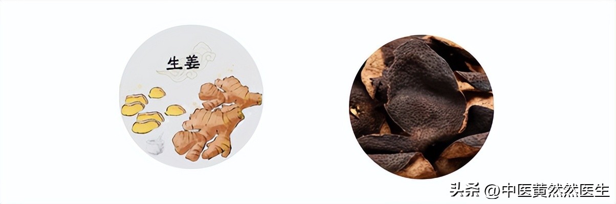 生姜巧搭配止住五种呕吐