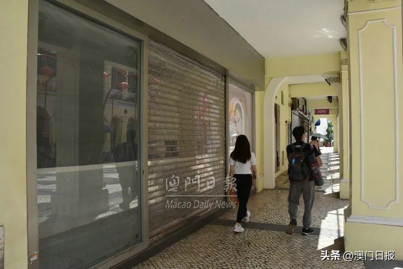 赌牌竞投，对就业有何影响？