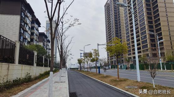 合肥滨湖招商雍华府附近规划,合肥省府中轴招商雍华府