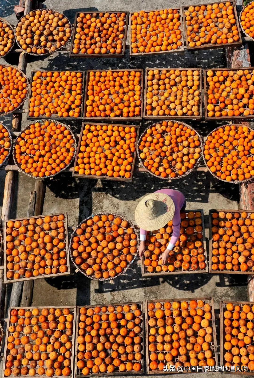 广西水果产量连续五年全国第一,广西和陕西谁才是水果第一大省