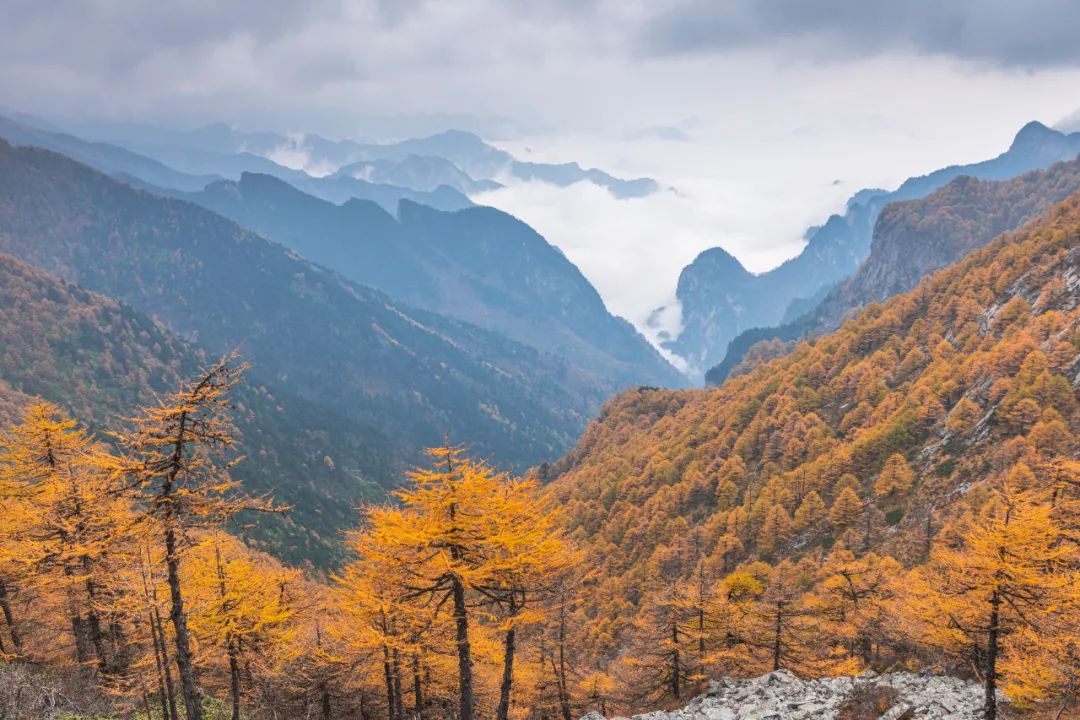 太白山是陕西最高点吗,秦岭最高峰太白山