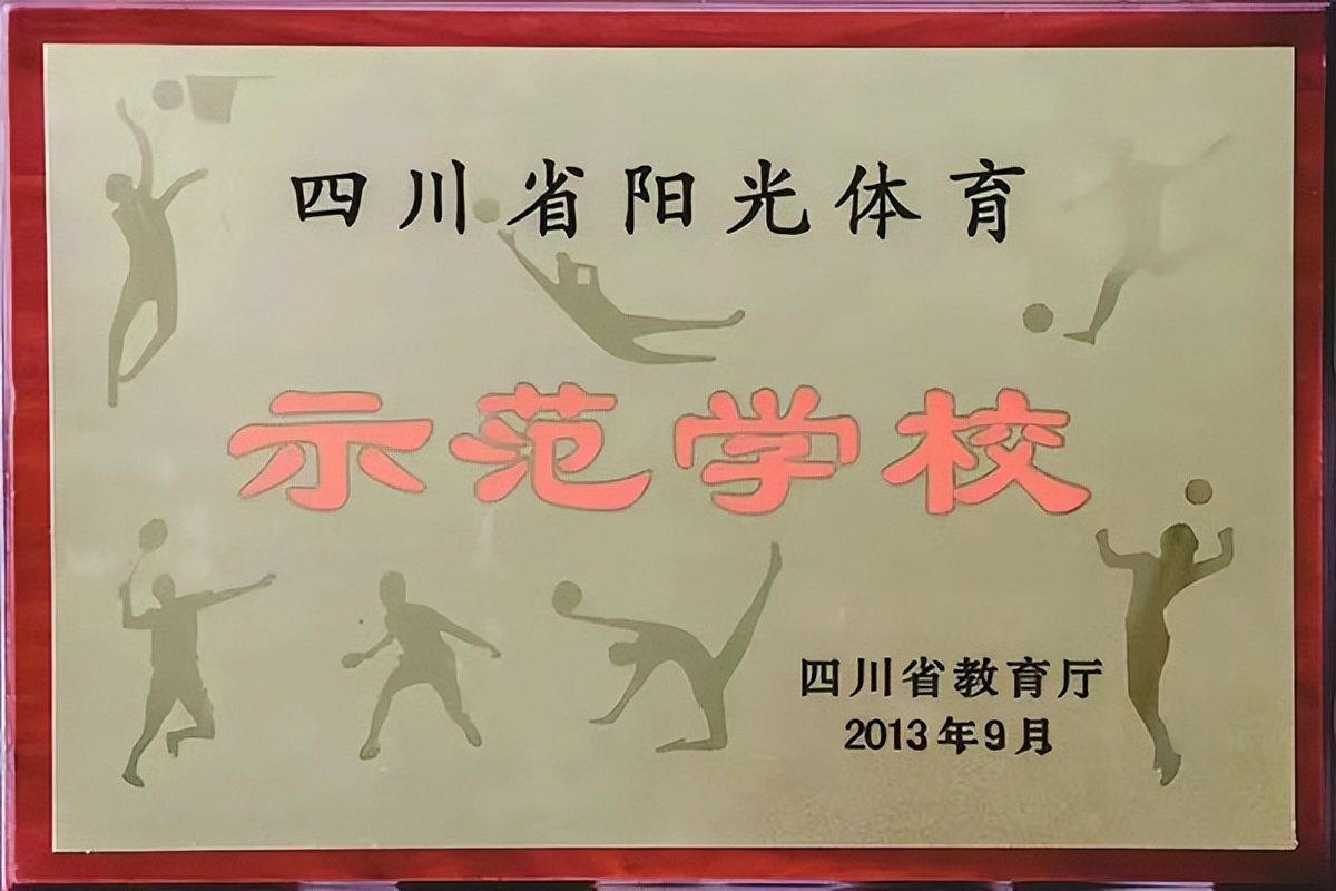 棠湖中学实验学校高考喜报,棠湖中学国家级