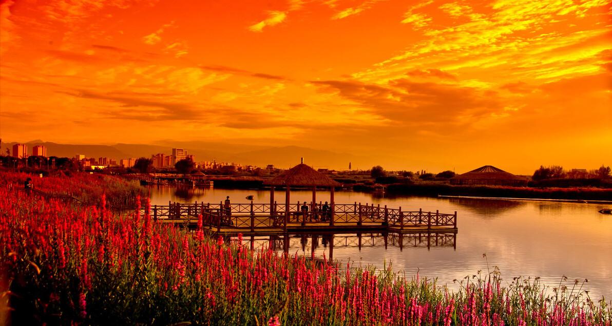 过年让爱回家,tcl公益过年让爱回家