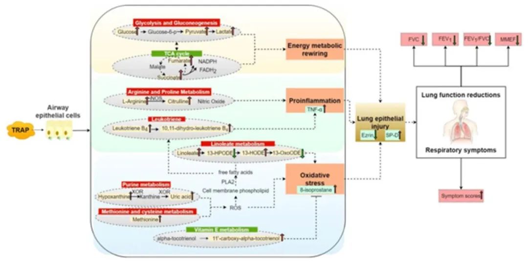 复旦医学院今年科研最新成果,复旦大学最新科研消息