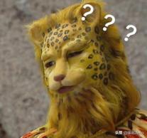 金钱豹动物科普介绍,金钱豹科普