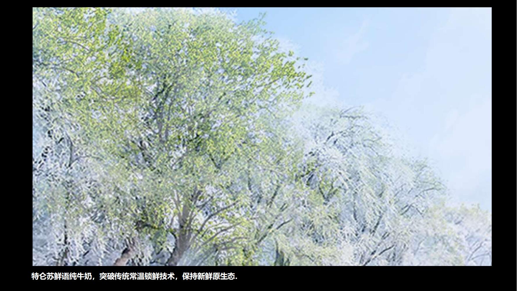 蒙牛特仑苏营销策划,蒙牛特仑苏广告词