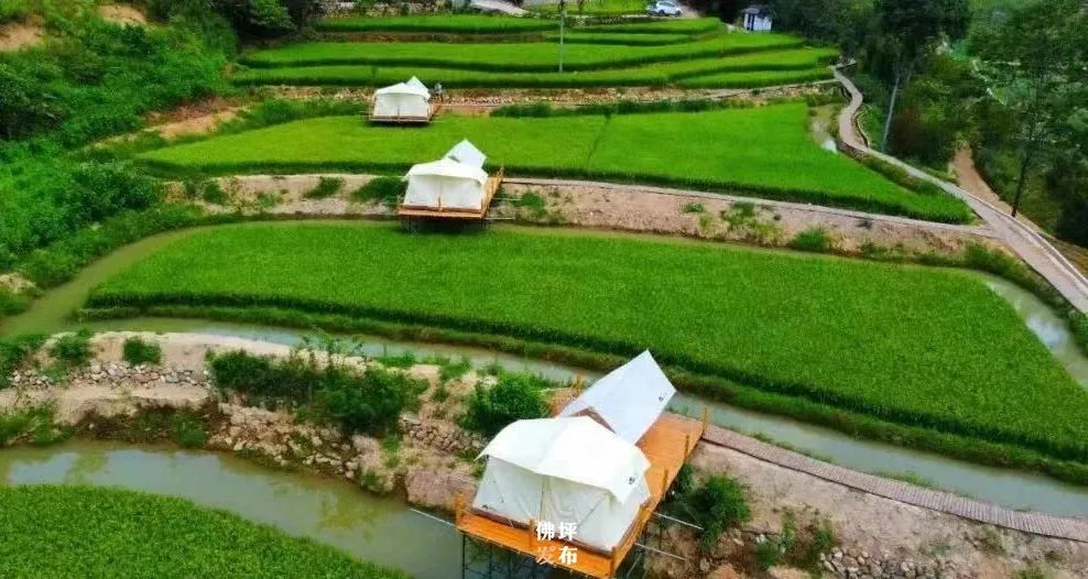 王家坪乡村旅游,佛坪县打造旅游景区